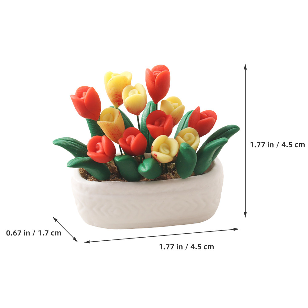 Dekorasi Tanaman Mini Tulip da - Bonsai Garden House ulasan dan harga
