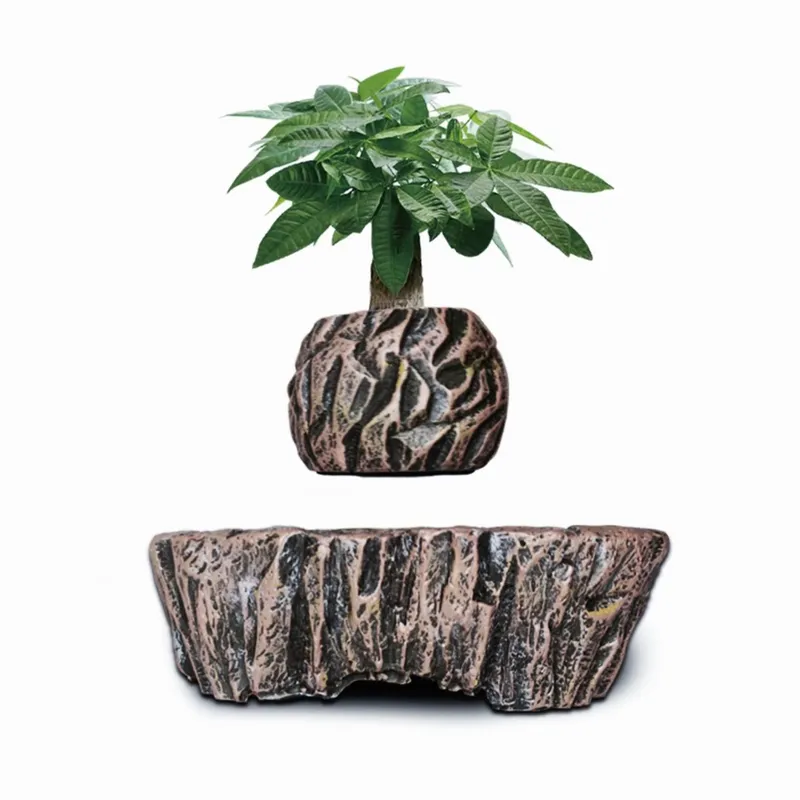 Pot Bonsai Resin Levitasi Elek - Bonsai Vertical Garden ulasan dan harga