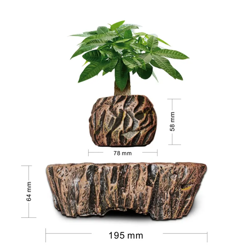 Pot Bonsai Resin Levitasi Elek - Bonsai Vertical Garden ulasan dan harga