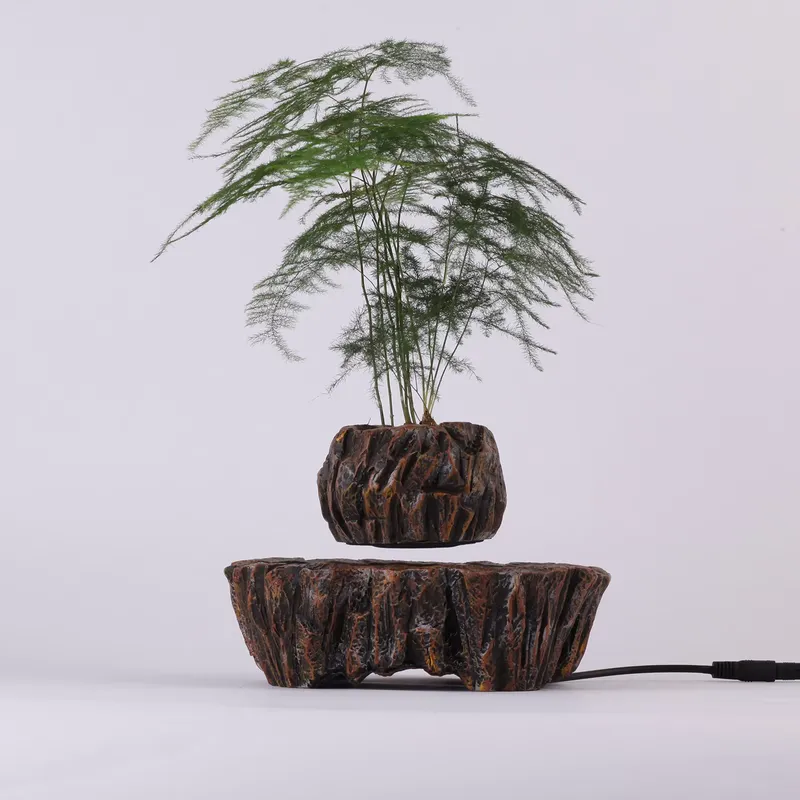 Pot Bonsai Resin Levitasi Elek - Bonsai Vertical Garden ulasan dan harga