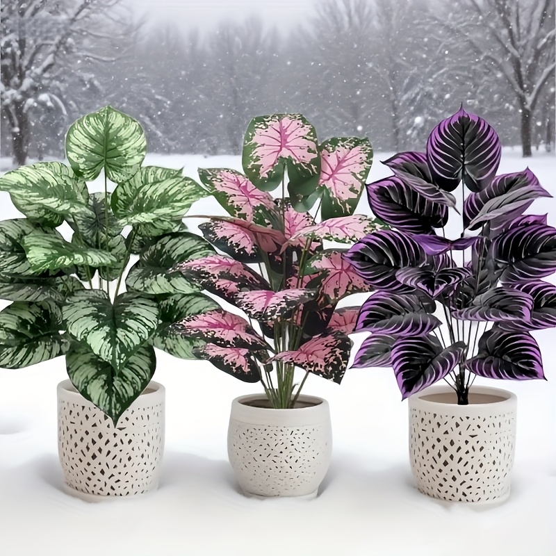 3 Buah 60Cm Set Tanaman Hijau  - Bonsai Garden For Home ulasan dan harga