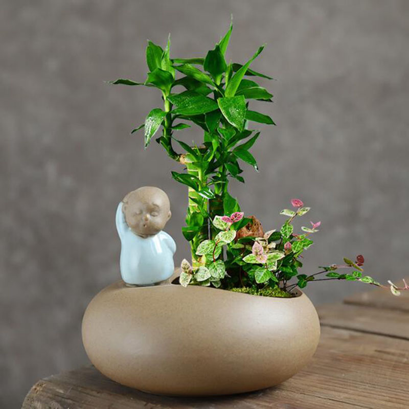 Pot Bunga Biksu Keramik Retro  - Bonsai Garden Art ulasan dan harga