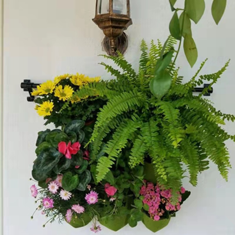 Tas Tanam Gantung Dinding Bebe - Bonsai Vertical Garden ulasan dan harga