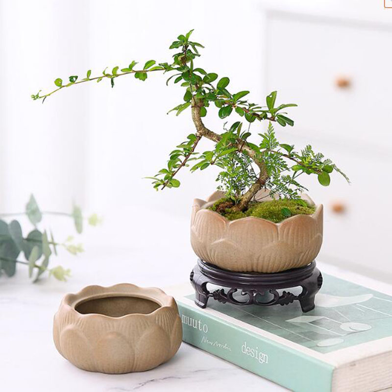 Tembikar kasar Pot tanaman hij - Bonsai Garden Art ulasan dan harga