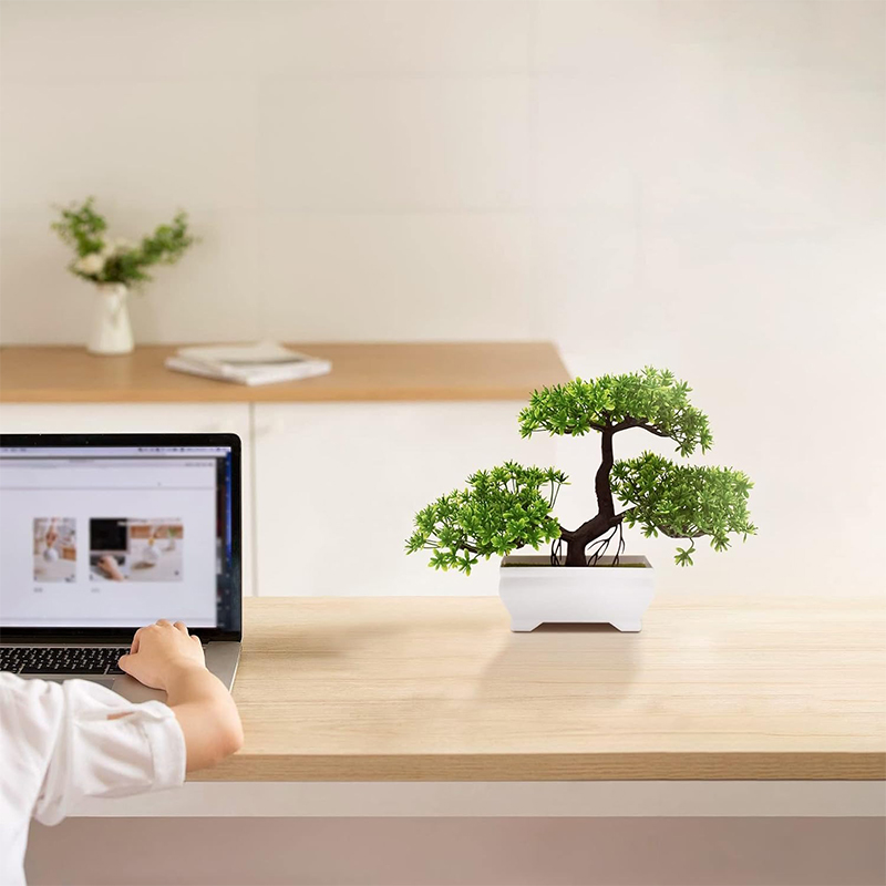 Tanaman Palsu Bionik Plastik B - Bonsai Garden For Home ulasan dan harga