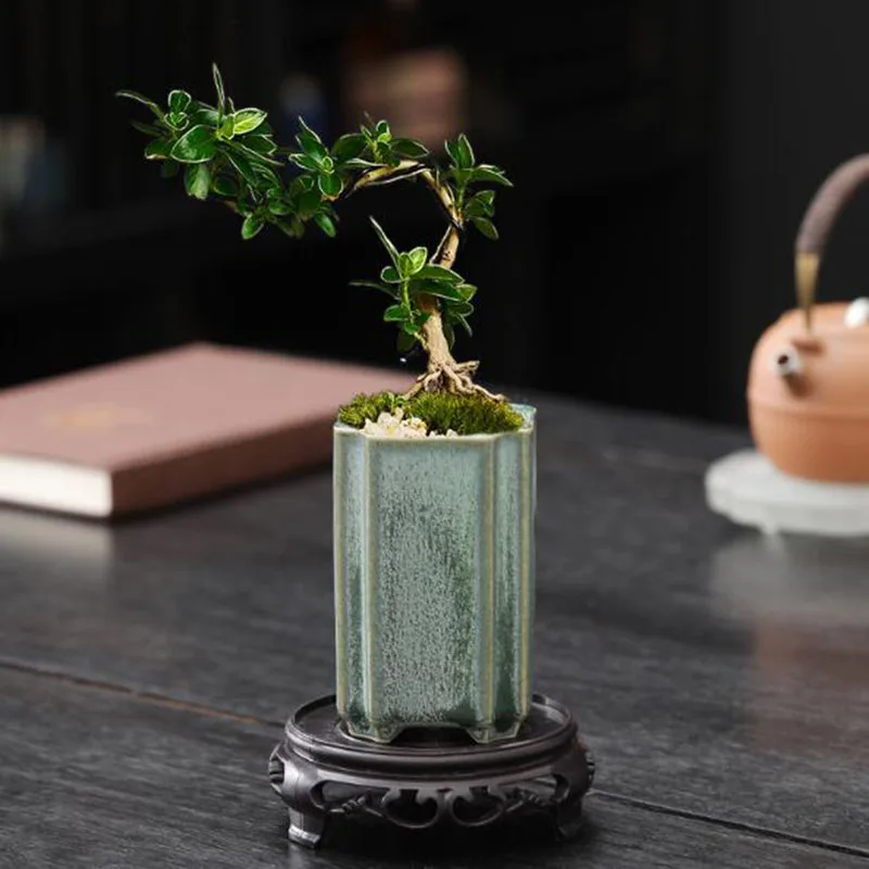 Pot Bunga Anggrek Celadon Pers - Bonsai Garden Art ulasan dan harga