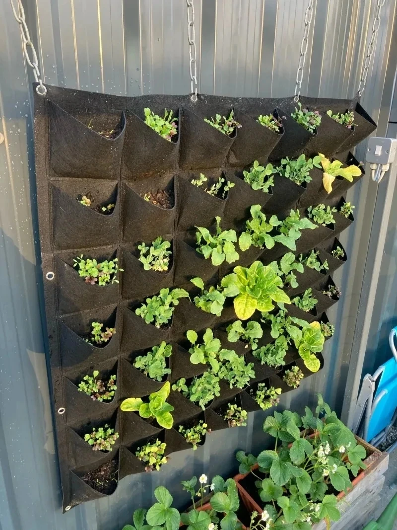 Kantong Tanam Gantung Dinding  - Bonsai Vertical Garden ulasan dan harga