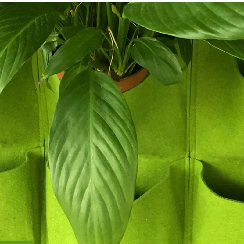 Kantong Tanam Gantung Dinding  - Bonsai Vertical Garden ulasan dan harga