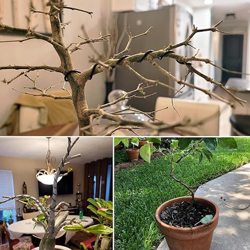 Kawat Bonsai Aluminium Hitam 1 - Bonsai Garden Art ulasan dan harga