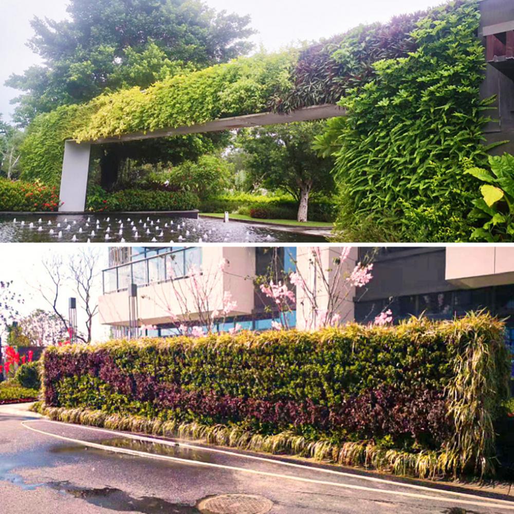 Kotak hutan terpasang di dindi - Bonsai Vertical Garden ulasan dan harga